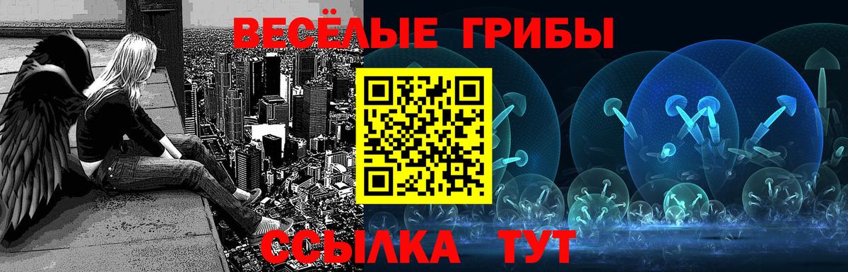 Галлюциногенные грибы MAGIC MUSHROOMS  Псилоцибиновые грибы Cubensis  Ржев  Вход с VPN 